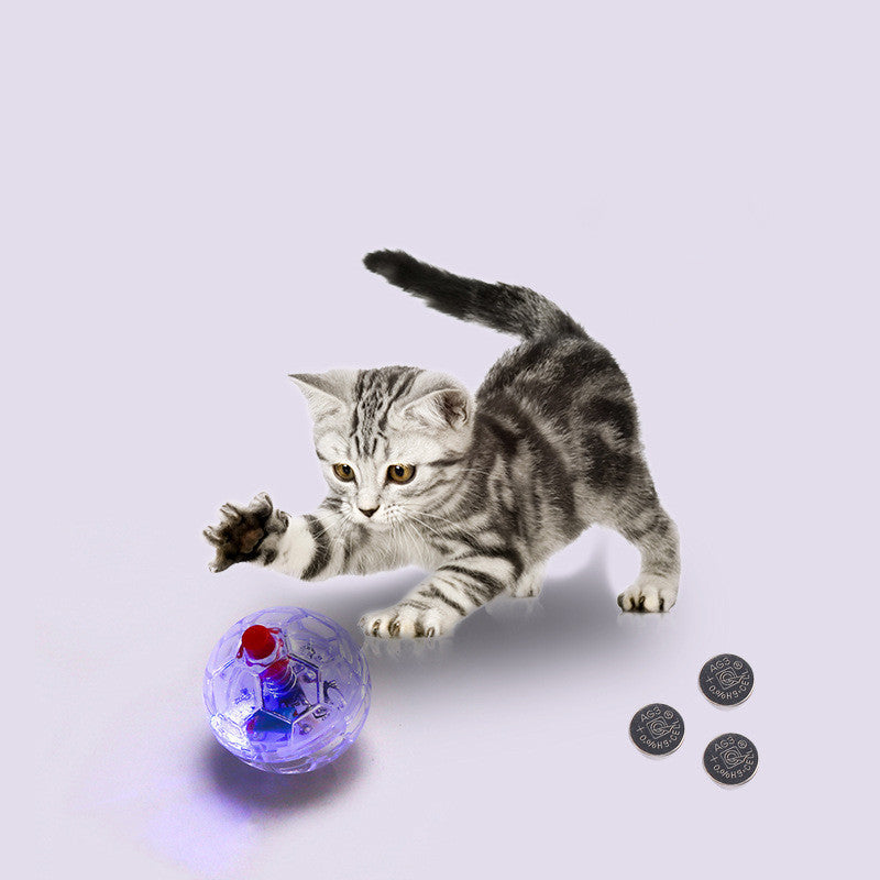 New Fashion Glowing Transparent Plastic Ball Pet