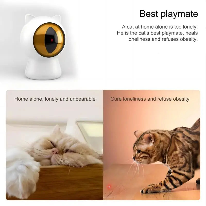 Pet Toys Rechargeable App Intelligent Control Interactive