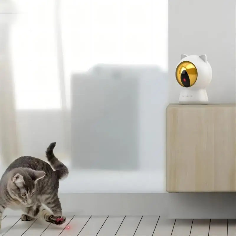 Pet Toys Rechargeable App Intelligent Control Interactive